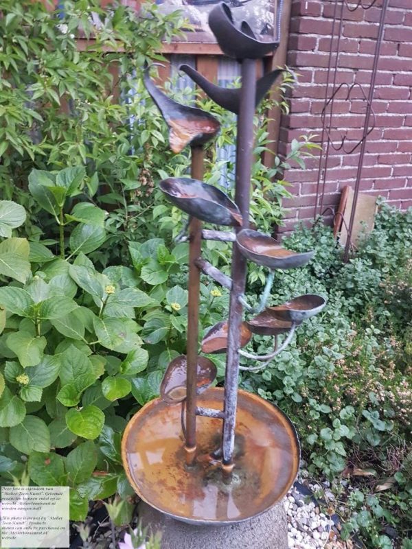 20190527_214256 Fontijn