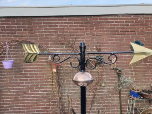 Windroos