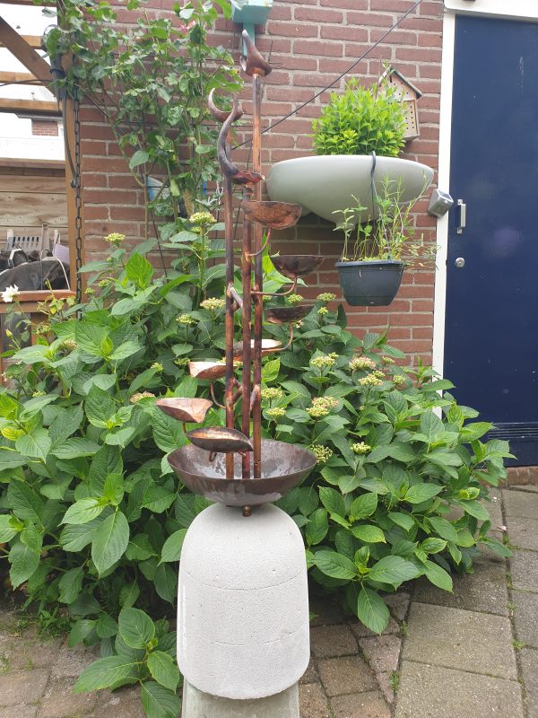 20210701_154716 Fontijn