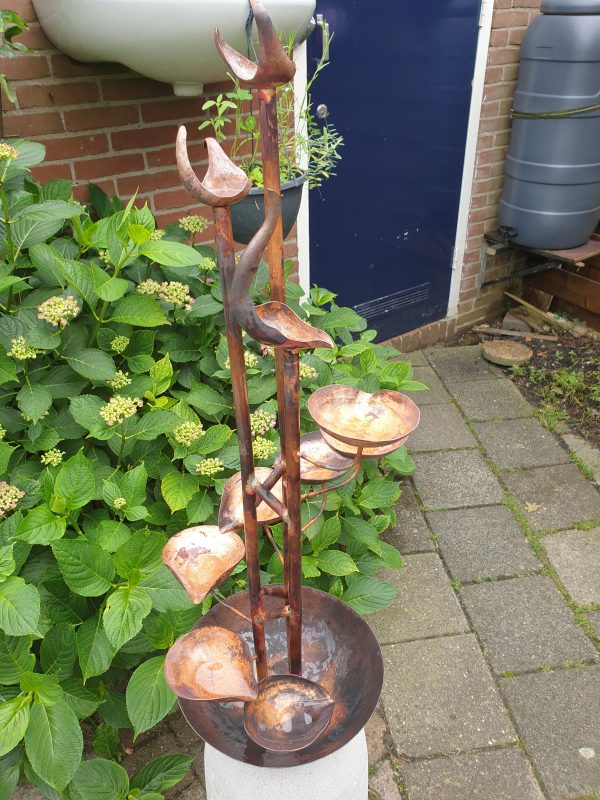 20210701_154732 Fontijn