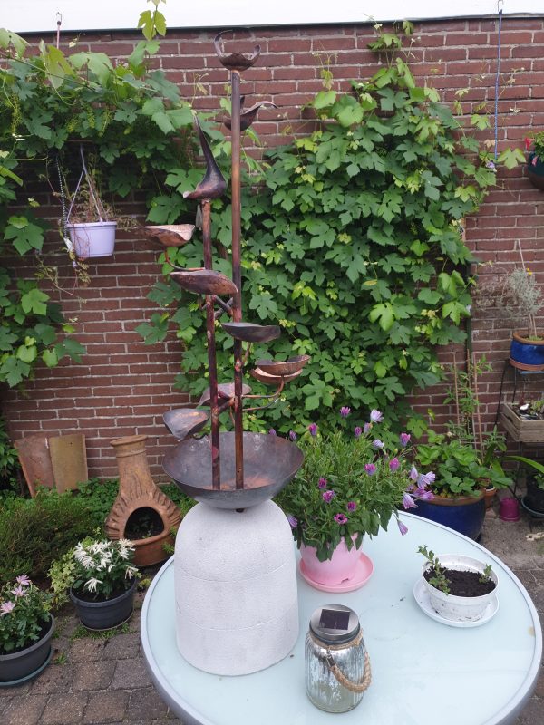 20210701_195319 Fontijn