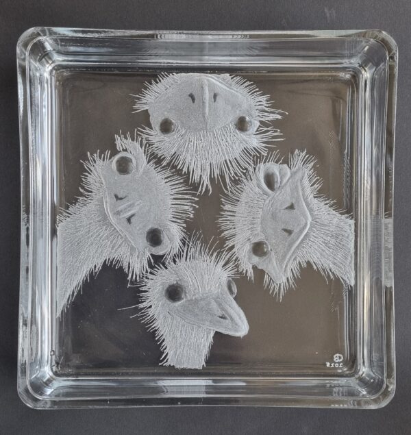 Schaal met afbeelding