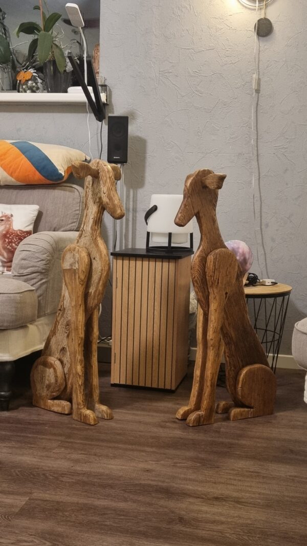 Galgo Español verweerd