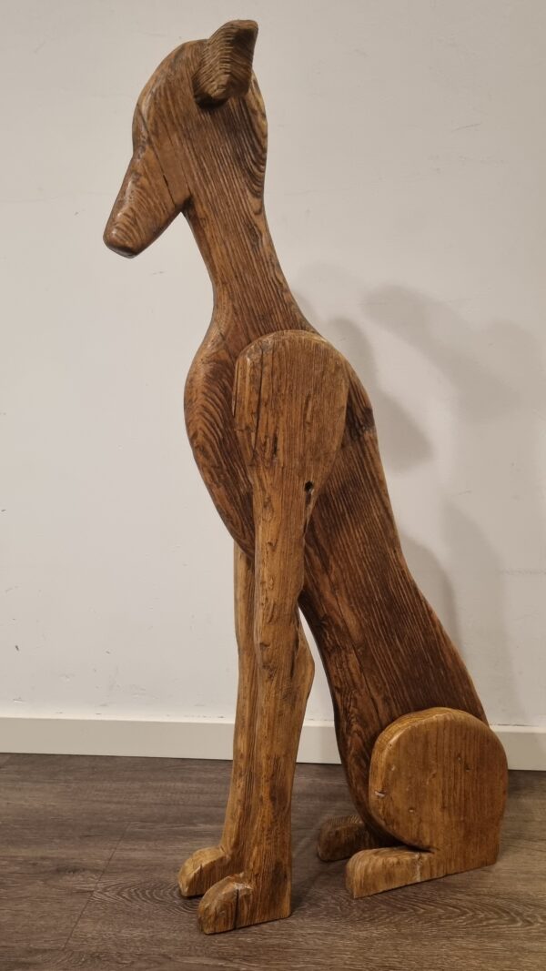 Galgo Español verweerd