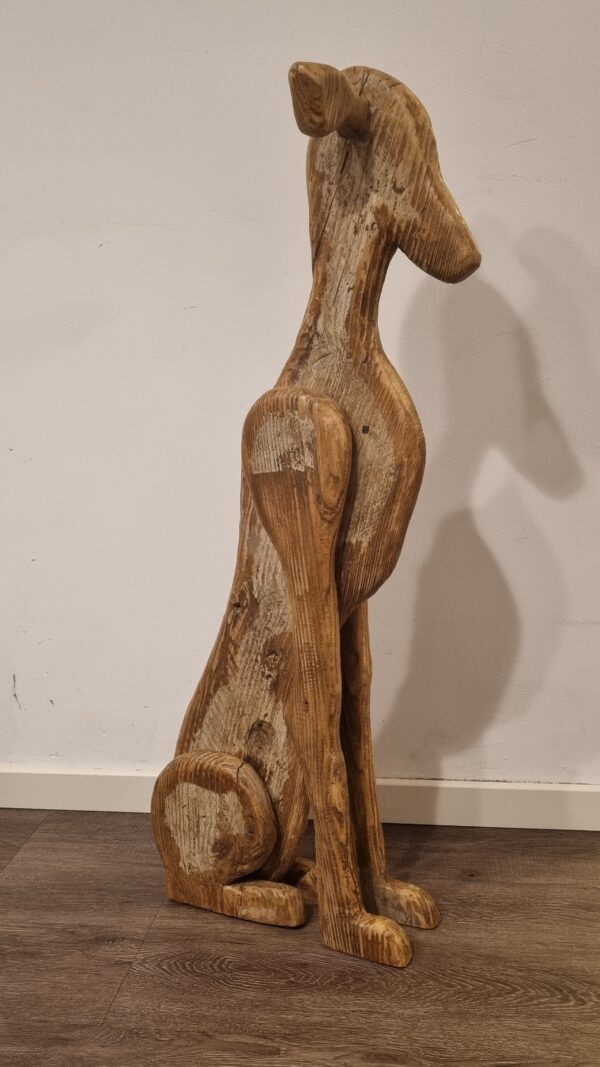 Galgo Español verweerd