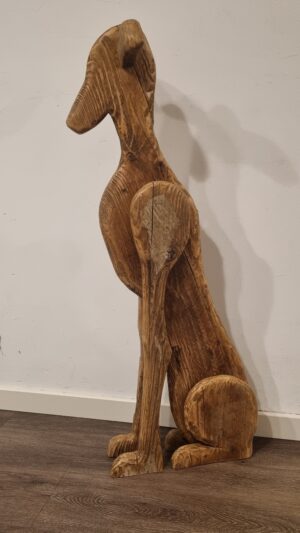 Galgo Español verweerd