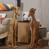 Galgo Español verweerd