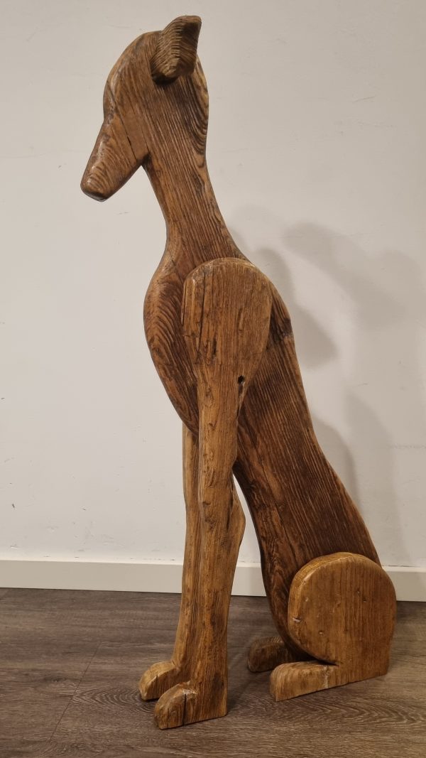 Galgo Español verweerd