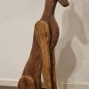 Galgo Español verweerd