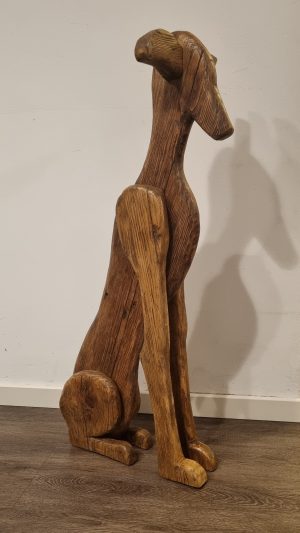Galgo Español verweerd