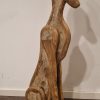 Galgo Español verweerd