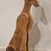 Galgo Español glad