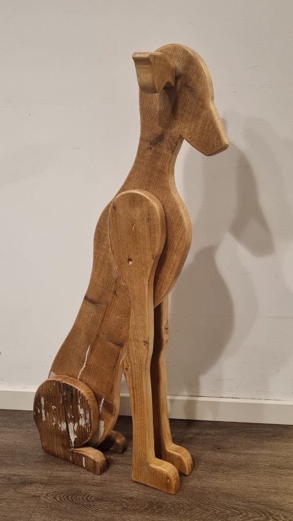 Galgo Español glad