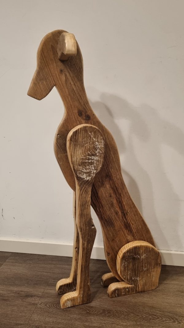 Galgo Español glad