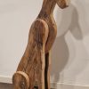 Galgo Español glad