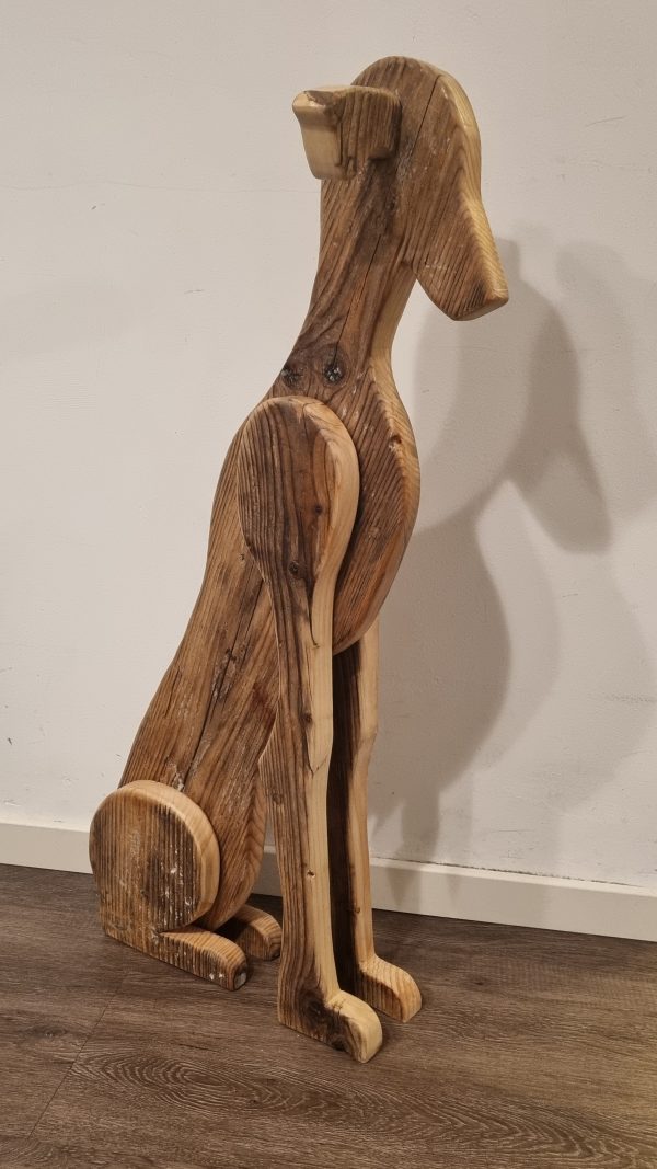 Galgo Español glad